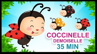 Coccinelle demoiselle  Comptines pour les petits  Titounis [upl. by Wendall]