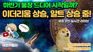 비트코인 실시간 이더리움 상승 중 알트 상승 불장 진입인가 117 점심💎비트코인 비트코인실시간 이더리움 리플 cryptocurrency 차트분석 [upl. by Trauner]