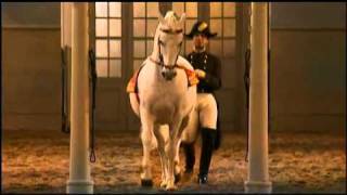 The Spanish Riding School of Vienna Part 22 [upl. by Anih]