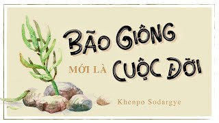 Sách nói Bão Giông Mới Là Cuộc Đời  Chương 1  Khenpo Sodargye [upl. by Durston207]