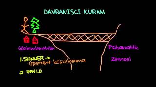 Davranışçı Kuram Psikoloji  Davranış [upl. by Cand429]