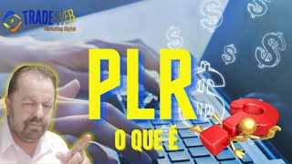 O QUE É PLR E COMO FUNCIONA NO MARKETING DIGITAL [upl. by Aniv]