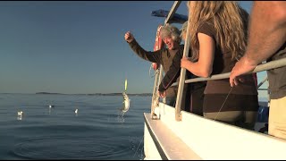 Partie de pêche au maquereau  Excursions en Mer [upl. by Ahseken]