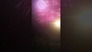 Exploring the Spectacular Fireworks Show in Valdosta Georgia 🎆🇺🇸 shorts fireworks summer [upl. by Bloem]