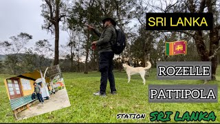 Rozelle Railway Station  Pattipola Railway Station  Sri Lanka  Travel Vlog [upl. by Eerised679]