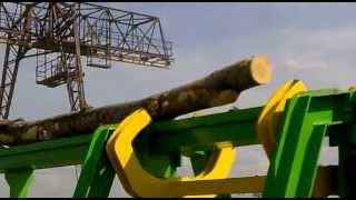 Log Sorter VS Woodsnake Log Sorting Line [upl. by Eduardo588]