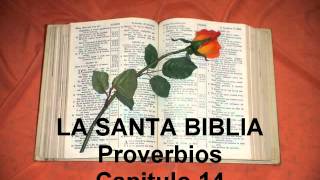 Proverbios Capitulo 14 [upl. by Saiasi]