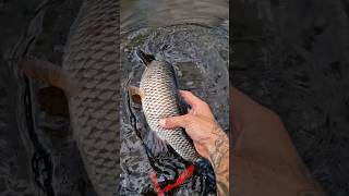 fishing handmade lure youtubeshorts youtube shorts [upl. by Yablon]