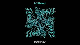 Conformational changes during human TRPV4 inhibition – Sobolevsky Lab [upl. by Germana]