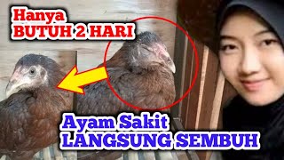 CARA PALING CEPAT MENGOBATI AYAM SAKIT LANGSUNG SEMBUH amp LAHAP MAKAN [upl. by Attennhoj911]