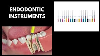 Endodontic Instruments  BDS endodontics [upl. by Zima779]