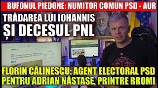 Piedone Numitor comun PSD  AUR Decesul PNL și trădarea lui Iohannis Capcana PDU Florin Calinescu [upl. by Waers]