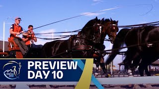 The Driving competitions start  Preview Day 10  FEI World Equestrian Games 2018 [upl. by Ahsino]