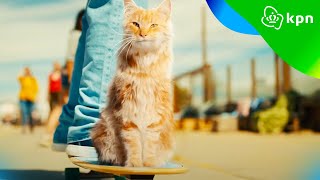 Blijf gaan met KPN Unlimited  het snelste 5G netwerk van Nederland [upl. by Otrevlig747]