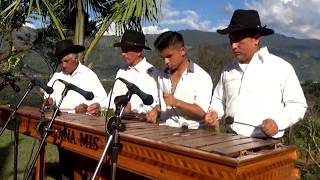 Son Tradicional Marimba Hose Ana Mis [upl. by Thierry]