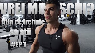 Masa Musculara Cele mai importante lucruri pe care trebuie sa le stii [upl. by Ahsaenat256]