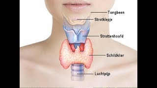 Schildklierproblemen natuurlijk behandelen [upl. by Eirrac]