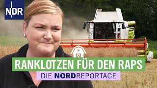 Der Erntestress ist riesig  Trecker Typen Erntezeit 1  Die Nordreportage Folge 1  NDR [upl. by Allemap]