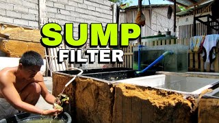 Paano gumawa ng sump filter para may good water quality simple [upl. by Auhsoj]