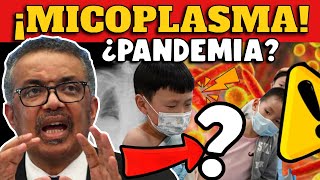 ¿PANDEMIA POR MICOPLASMA ¿ES POSIBLE [upl. by Gnivre]