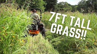 MOWING 7 FT TALL GRASS  Mowing Tall Thick Grass Extremely Overgrown with Scag Zero Turn Mower [upl. by Attiuqihc]