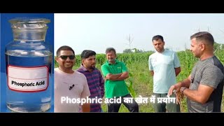 215 Kisan karyashala  Phosphoric acidफॉस्फोरिक एसिड क्या है  इसके प्रयोग से खेत को सक्रिय करना [upl. by Erny]