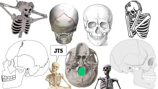 osteology  Norma BasalisAnatomy1st year MBBS skull  Head and Neck [upl. by Ennoryt364]