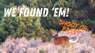 Where The Giant Bucks Are  New Spot Pays Off  Mule Deer Scouting in Utah Pt 3 [upl. by Nissa]