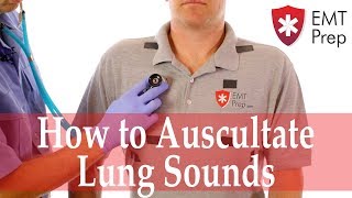 How to Auscultate Lung Sounds  EMTprepcom [upl. by Notrub195]