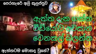 අලි කලබලය Kandy Esala Perahera 2021  Grand Randoli Nadungamuwe Raja Ali Kulappuwa [upl. by Enaerb]