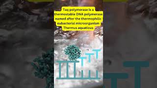 Polymerase Chain Reaction  PCR DNAAmplification TaqPolymerase GeneResearch MedicalDiagnostics [upl. by Osbourn]