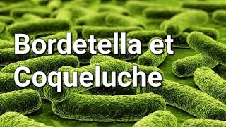 BORDETELLA ET COQUELUCHE [upl. by Allissa]