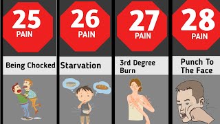 Comparison  Human Pain [upl. by Finer114]