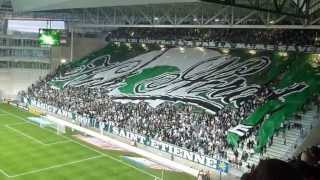 ASSE Saison 2012  2013 [upl. by Alet]