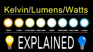 How To Chose LED Bulbs  Kelvin Lumens amp Watts EXPLAINED [upl. by Melleta]