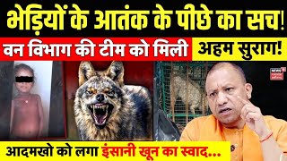 भेड़िए के आतंक के पीछे का सच 😮 जानकर आप लोग भी हो जाएंगे हैरान  up wolf attack [upl. by Eitnom]