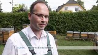 Germanys bee capital  Video of the day [upl. by Catie]