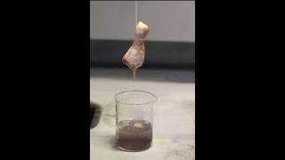 Chicken Vaporizing In Acid  Shocking Results shorts [upl. by Rahmann]