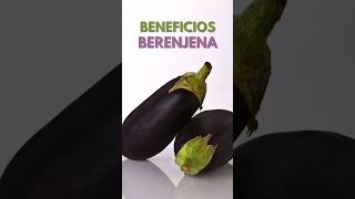 ¿Sabes Para que Sirve la Berenjena  Beneficios y Propiedades [upl. by Croft367]