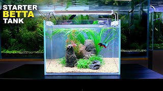 Aquascape Tutorial ULTIMATE BETTA Nano Tank For Beginners How To No co2 Planted Tank Step by Step [upl. by Enomor]