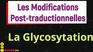 la Biochimie  la glycosylation [upl. by Sudoeht]