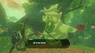 Zelda BOTW 900 Korok Seeds Reward  Hestus Gift [upl. by Icyak]