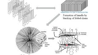 Polymer Crystallization [upl. by Ahsal648]