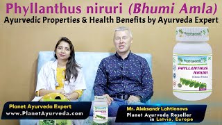 Phyllanthus niruri Bhumi Amla Ayurvedic Properties Uses Health Benefits by Ayurveda Expert [upl. by Alraep]