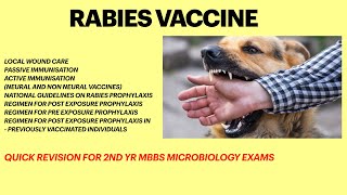 Rabies vaccineRabies virus Rabies vaccine dose and schedule Dog bite For MBBS microbiology exams [upl. by Rosenblast]