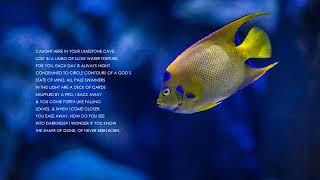 quotBlind Fishquot by Yusef Komunyakaa Read by Kareem Badreddine [upl. by Ivy]