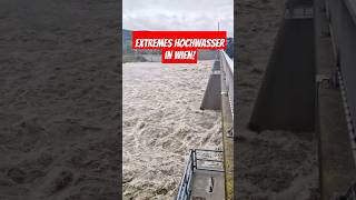 Extremes Hochwasser am 14092024 in Wien heavyrain unwetter viralvideo hochwasser foryou [upl. by Primavera]