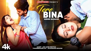 Tere Bina Mere Sanam  husband vs wife love story [upl. by Atnod]