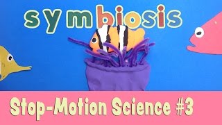 Whats Symbiosis Stopmotion animation science lesson for kids [upl. by Wasson689]