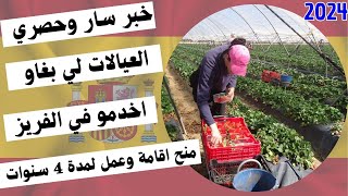 خبر حصري لعاملات الفراولة👈 وزارة الهجرة الاسبانية وافقت على قانون الهجرة اقامة العمل 4 سنوات [upl. by Ahseile]